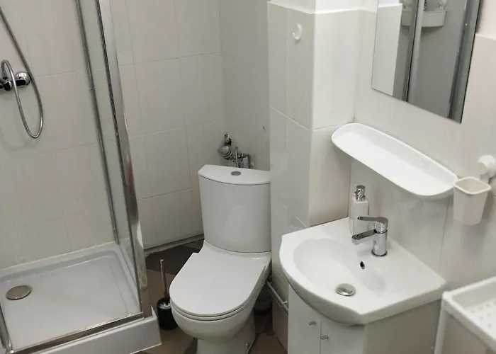 Apartament Cu 1 Camera Ultracentral