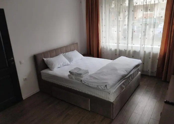 Apartament Cu 1 Camera Ultracentral