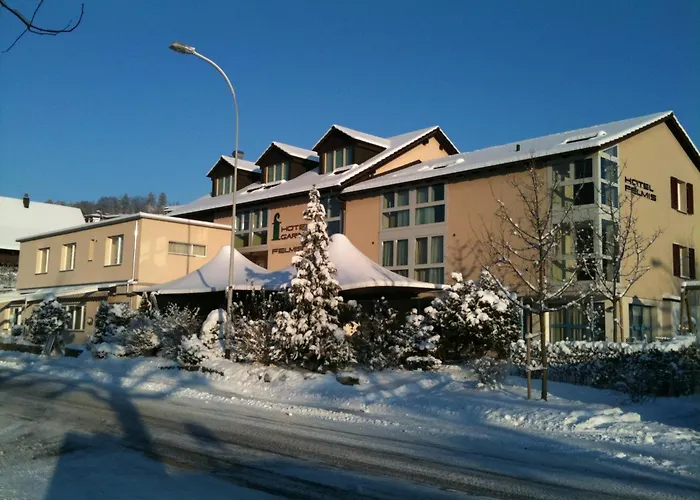 Hotel Felmis