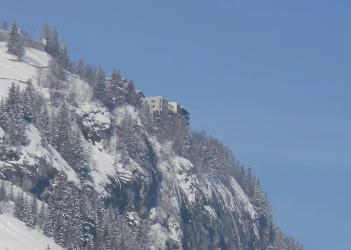 Hotel Alpina