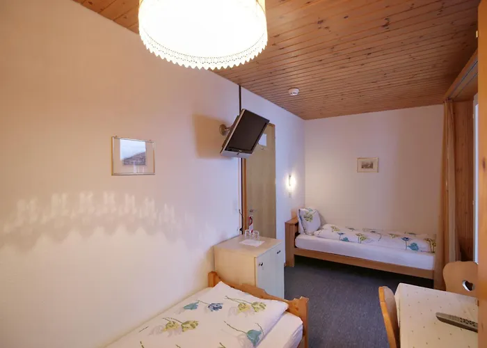 Hotel Alpina
