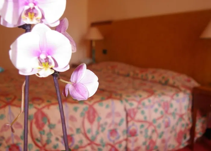 Hotel Aletti Palace