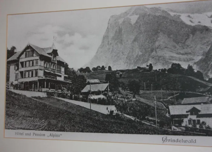 Hotel Restaurant Alpina