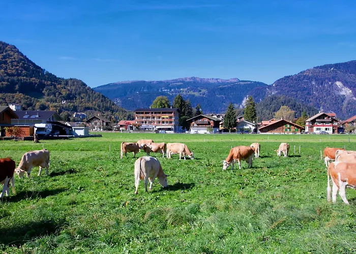 Jungfrau Hotel