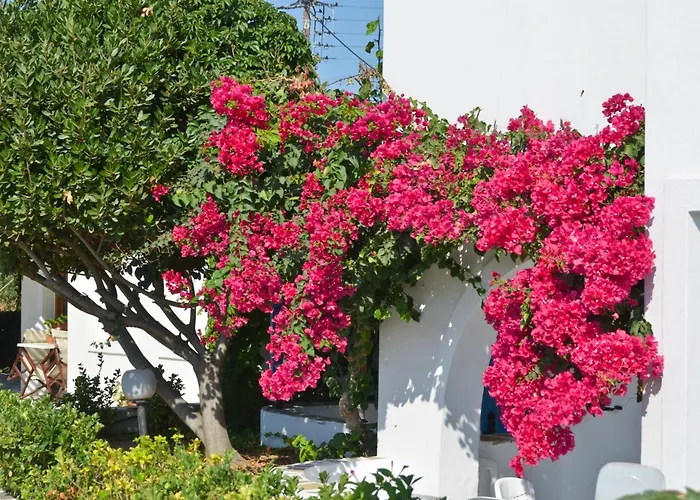 Dilino Hotel Studios
