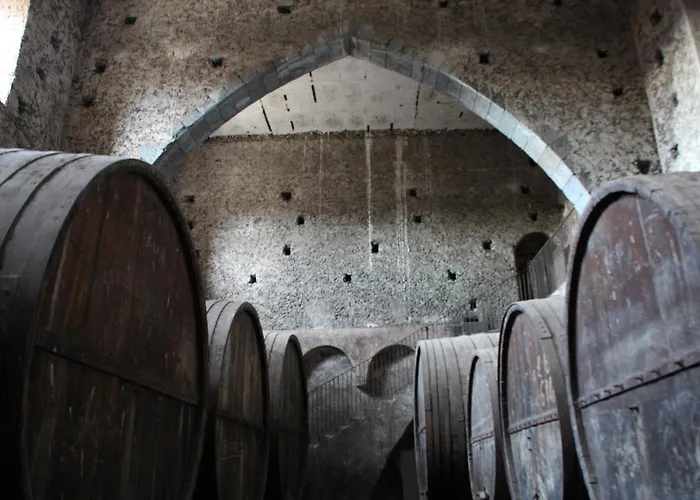 Feudo Vagliasindi -Wine Experience-