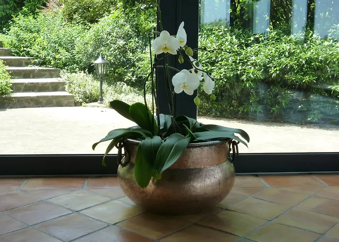 Country House Barone D'Asolo