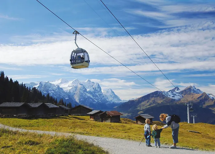 Hotel Meiringen
