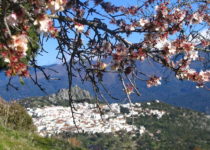 La Fructuosa