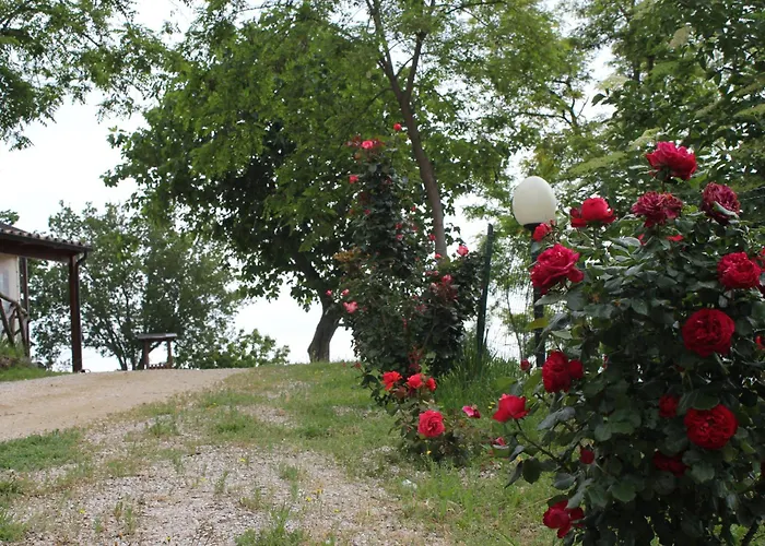 Agriturismo La Valle Del Vento Urbino
