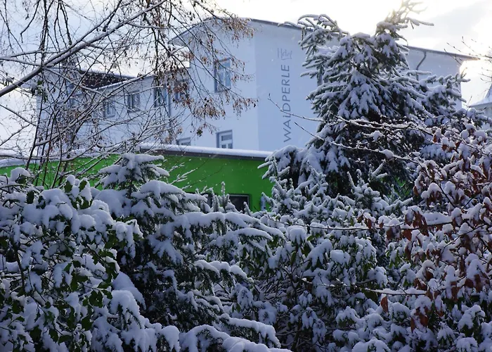 Hotel Waldperle