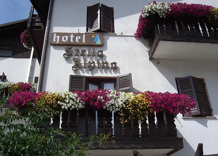 Hotel Stella Alpina