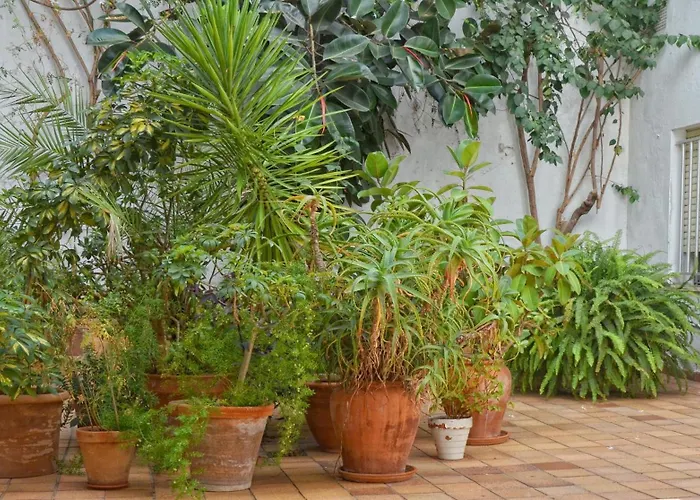 Hotel El Coloso