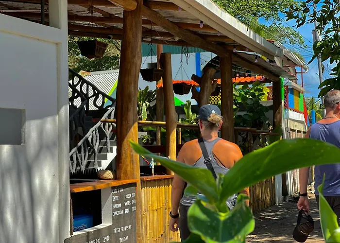 El Deseo Serendipity Tortuguero