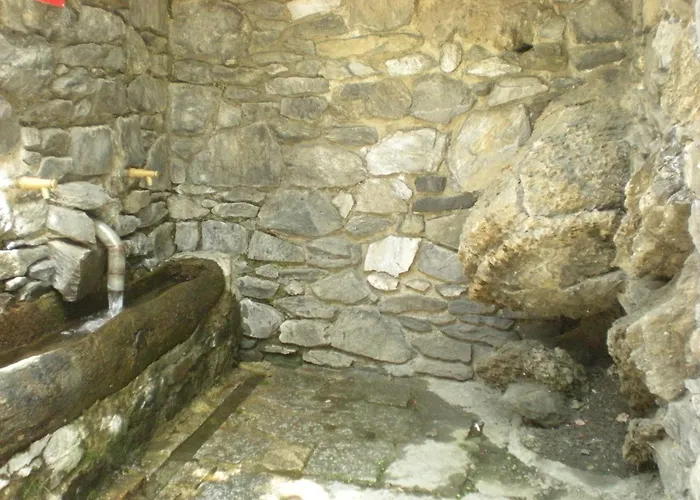 Hotel Montane