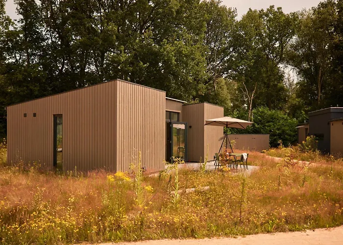 Dutchen Zeegser Duinen Suitelodges