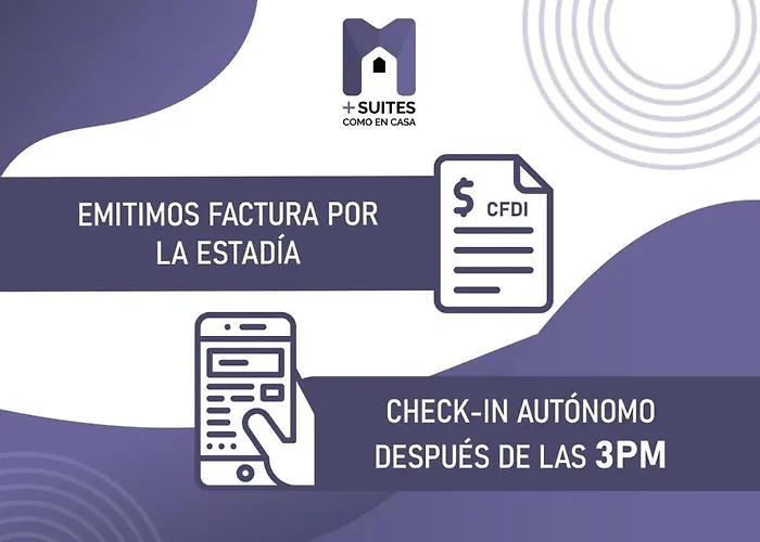 Suite Loft Amplio Nuevo Salida A Cdmx 204A