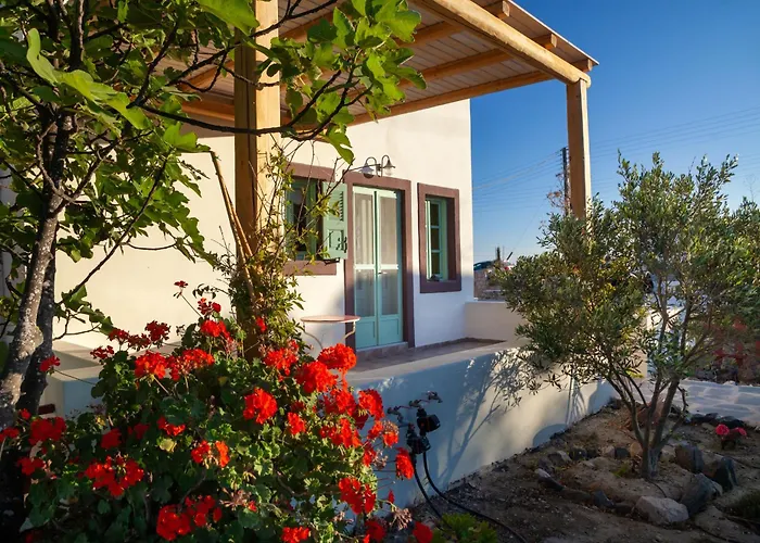 Olive Leaf Houses