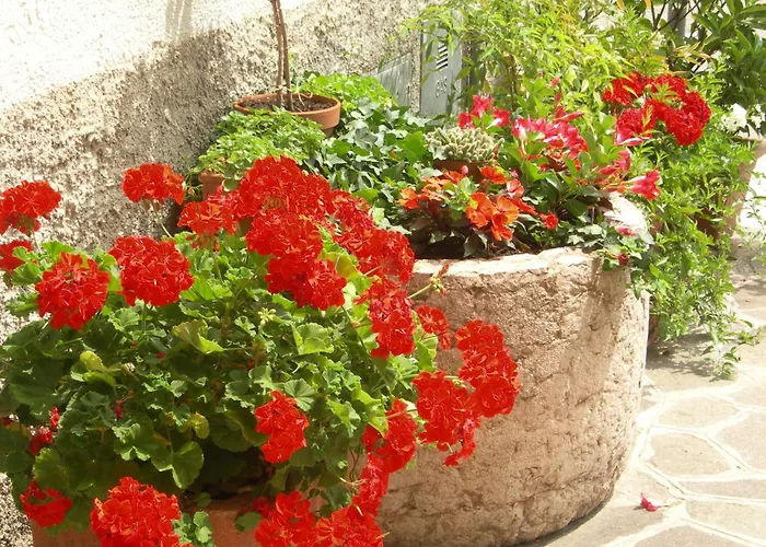 Albergo Centrale