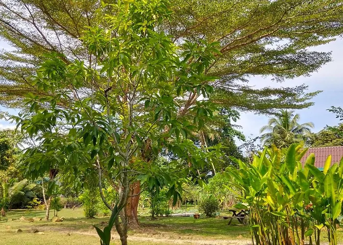 Baan Bua Cottage