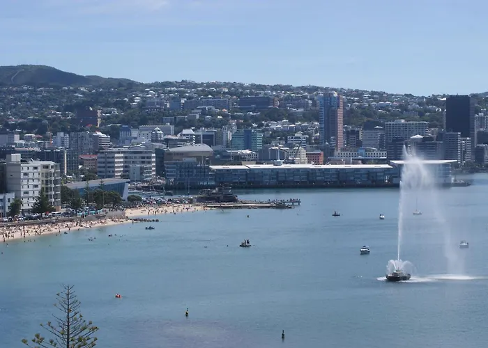Oriental Bay At Its Best