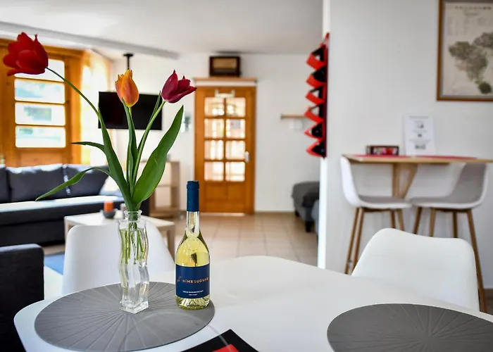 Boralom Studio Apartman Tokaj
