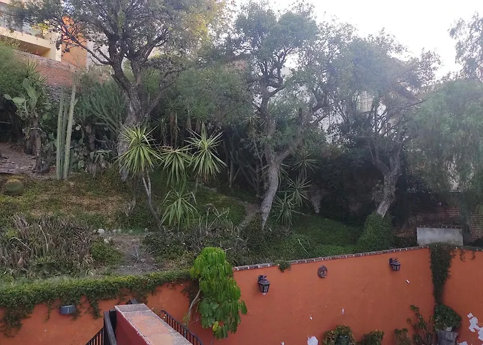 Laica House