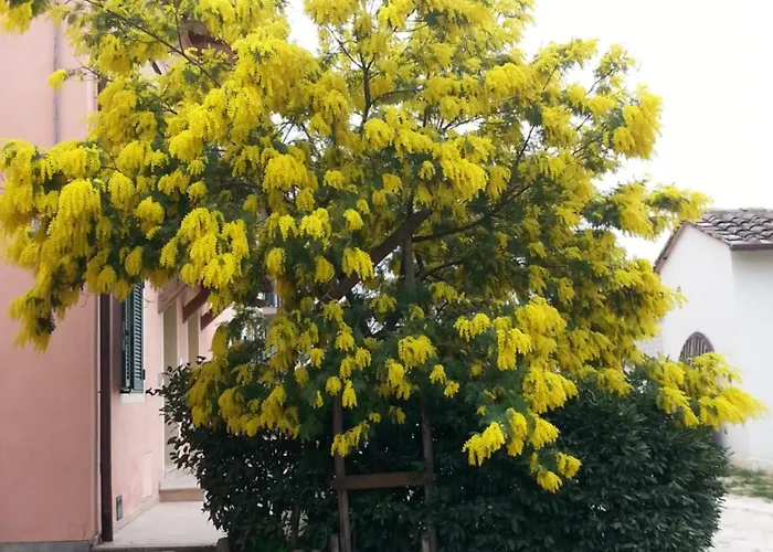 Casa Vacanze Santa Maria