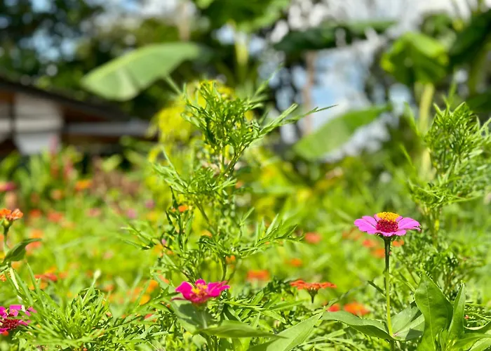 Almendros Eco-Villas