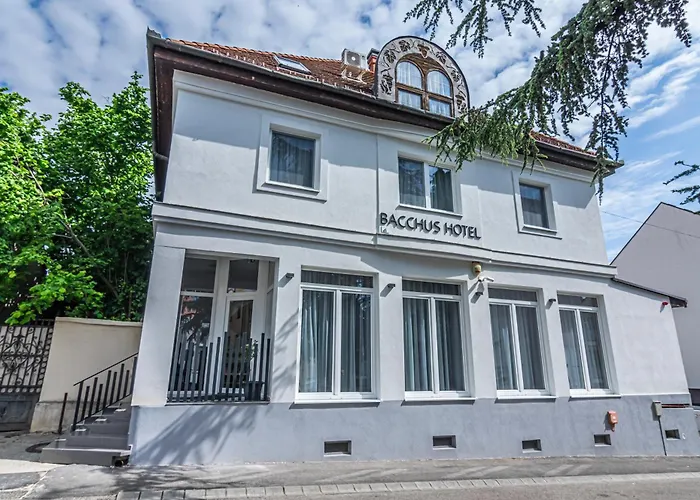 Hotel Bacchus