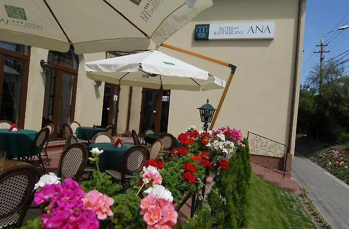 Hotel Ana