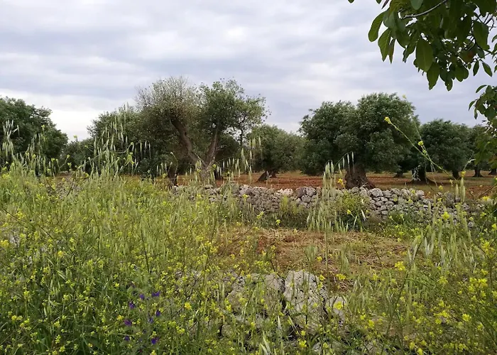 Casa Vacanze Da Nonna Pia