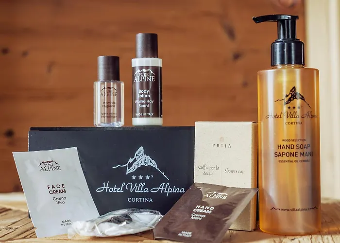 Hotel Villa Alpina ***S