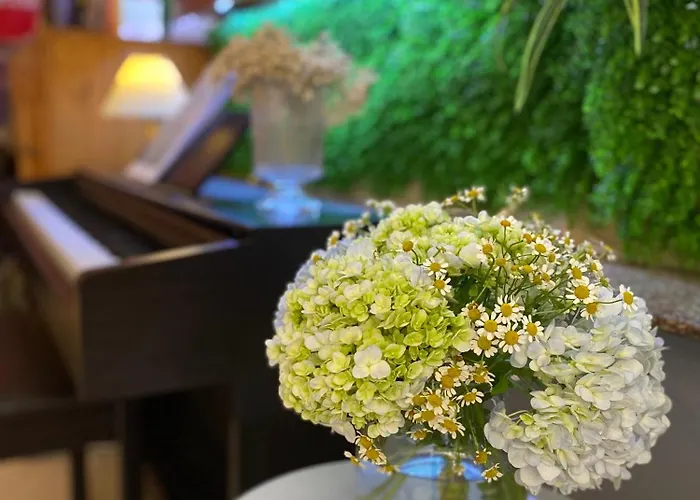 Violet Star Hotel And Spa