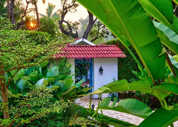 Blu Resorts