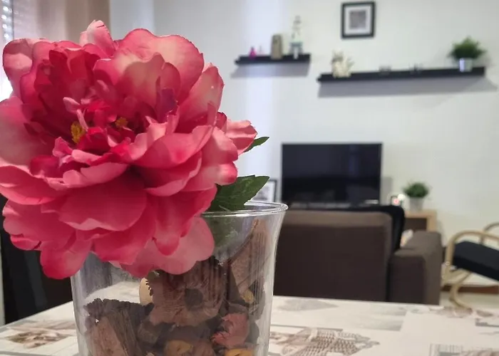 Apartamento Cayetano