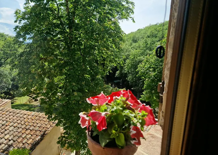Molino Di Cogno