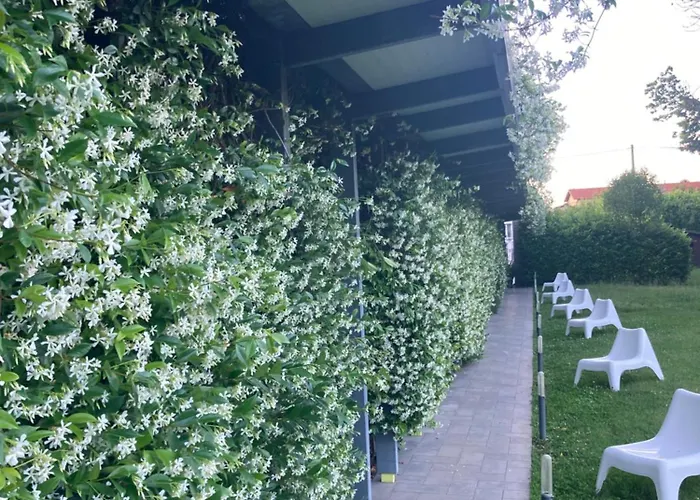 Mxp Rooms Guest House