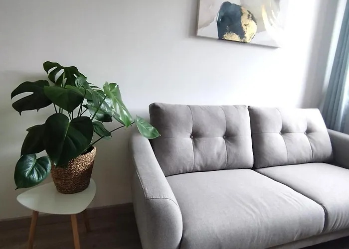 Home Sweet Metz Avec Parking & Netflix