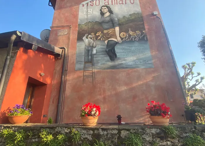 La Casa Rosa Di Riso Amaro