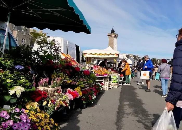 Roscoff 2 Pieces Classe 2 Etoiles, Petite Terrasse, Dans Le Centre Historique