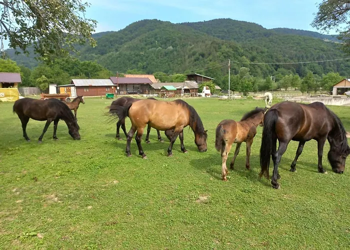 Vila Pufu
