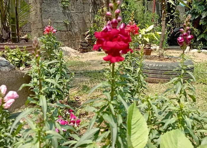 Cherry Garden Pokhara