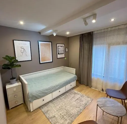 Piso De Dos Dormitorios Con Reforma De Diseno