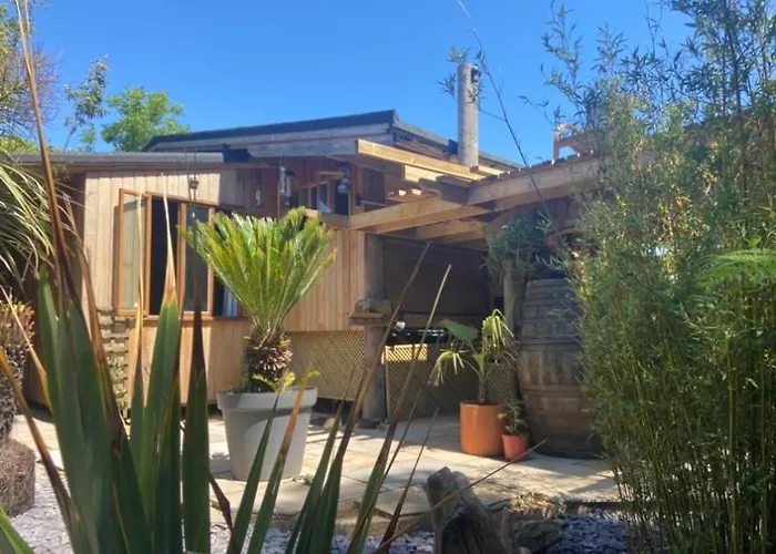 Jungle Cabin