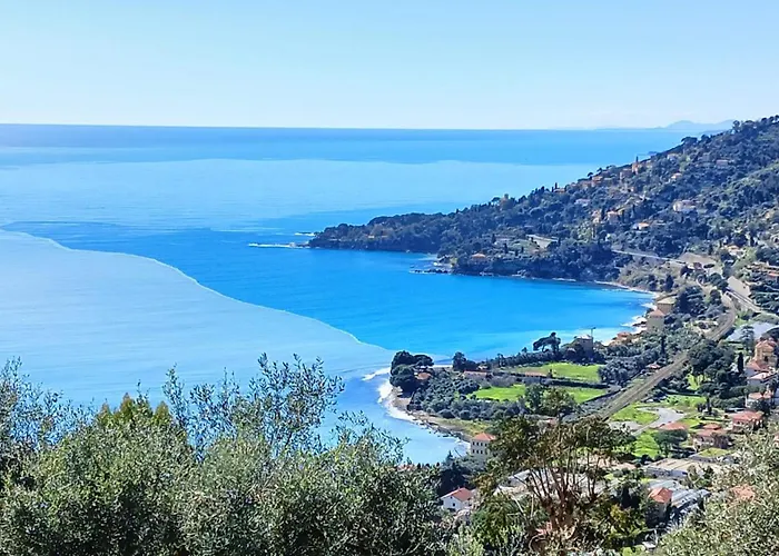 Il Mare Tra Gli Olivi