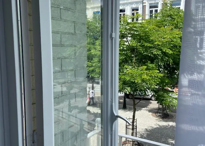 Alex Maastricht