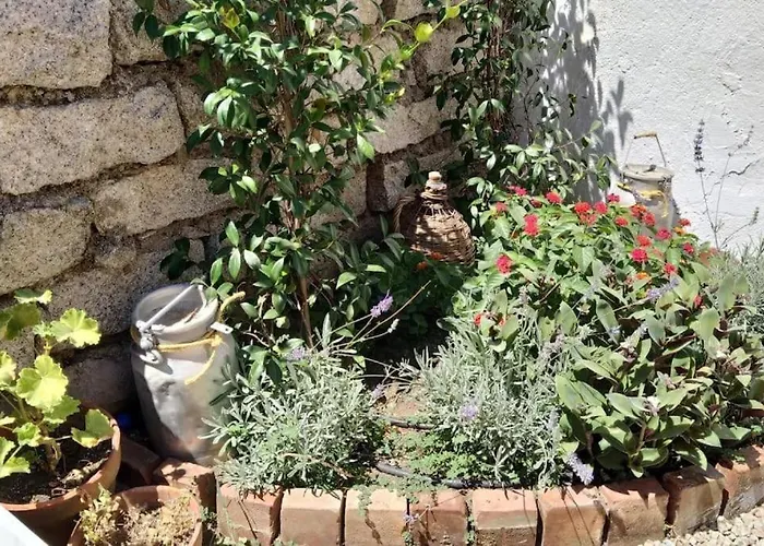 Casa Indipendente Nel Cuore Della Costa Smeralda Comfort Per Famiglie E Gruppi