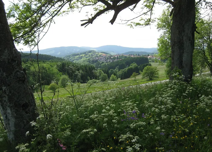 Altes Forsthaus Fischbach