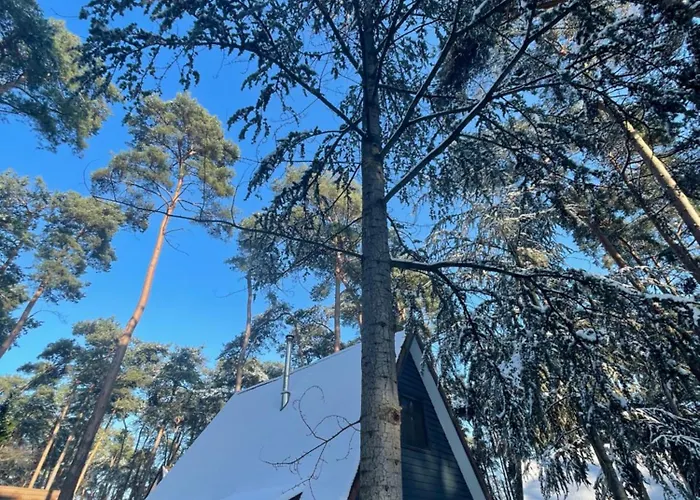 Boshuisje Pinus Sonnevijver Residences